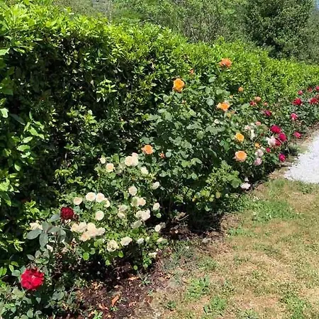 Gigallino In Campagna, A Due Passi Da *