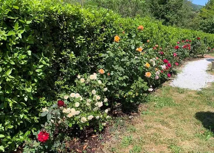 Gigallino In Campagna, A Due Passi Da *